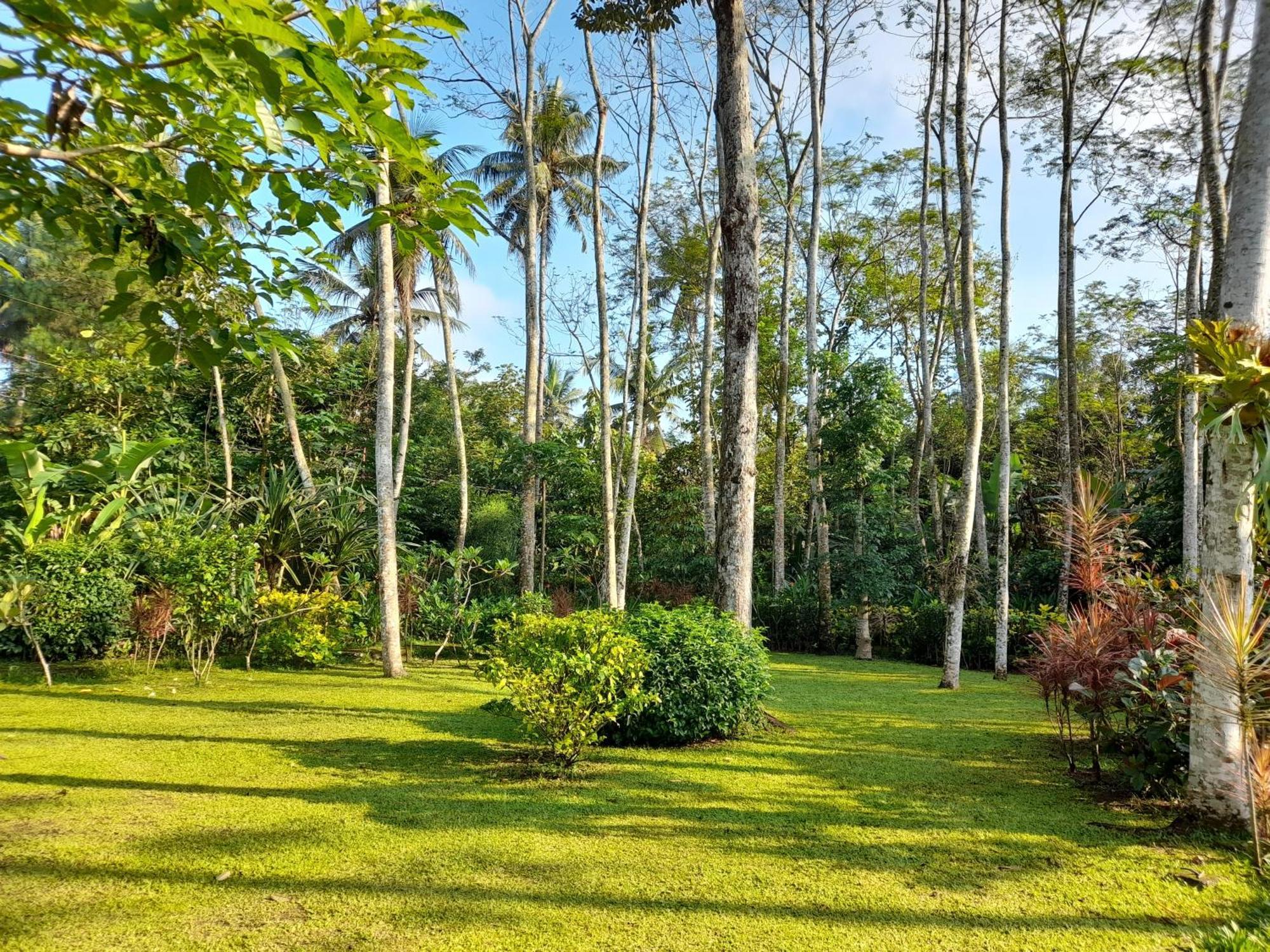 Ndalem Nitihardjan Magelang Exterior foto
